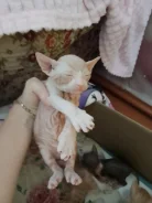 ������. ����