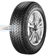 GT Radial WinterPro 2