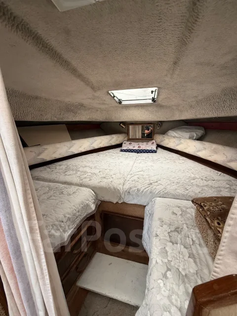 Searay Sundancer. ����� 9,5��., ��������� ������������, 500��.�., ������ ����