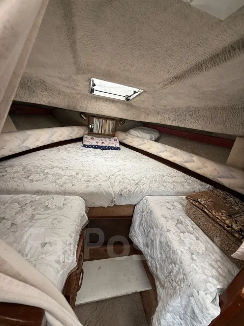 Searay Sundancer. ����� 9,5��., ��������� ������������, 500��.�., ������ ����