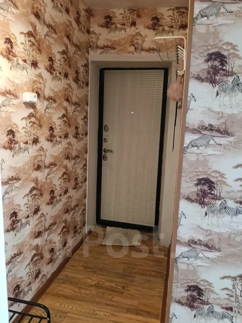 1-���������, ����� �������-5 4. ���������, 29,3���.��., 4/5 ����. �������� ����