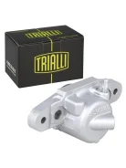 ������� �������� ��� 2108 ������ Trialli Trialli CF308 CF308 ����