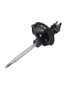������ ������������ �������� ����� (����� CYKK-243-G) CEED; CTR GY1232G GY1232G ����
