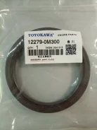 ������� ��������� ������ Nissan 12279-0M300 ����