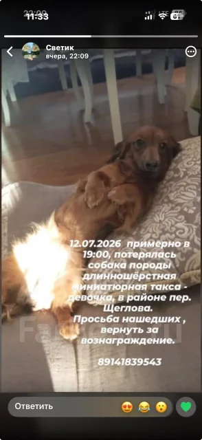 ������. ����