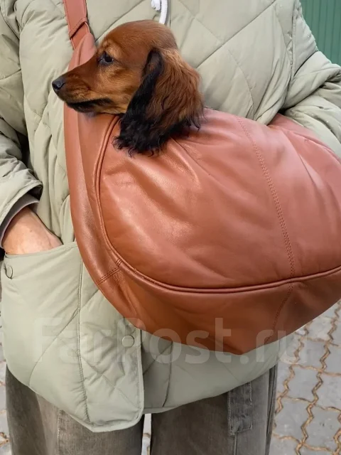 ������. ����