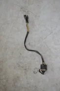 ������� ��������. ����