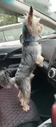 ����������� ������. ����