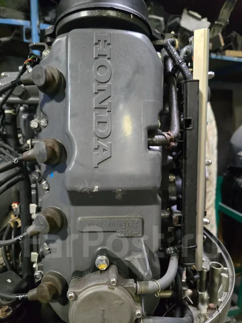 Honda. 130��.�., 4-�������, ����������, ���� L (508 ��), 2009 ��� ����