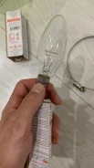����� �����������. ����