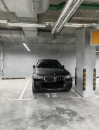 ����� �����������. . ��� ������ ����