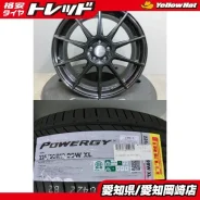 Bridgestone Potenza Adrenalin SW010