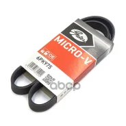 ������ ������������ XF68363 Gates 6PK975 6PK975 ����