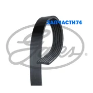 ������ ������������ Gates 6PK1093 6PK1093 ����
