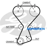 ������ ��� Hyundai Santa Fe/Sonata / Kia Sorento Gates T313 T313 ����