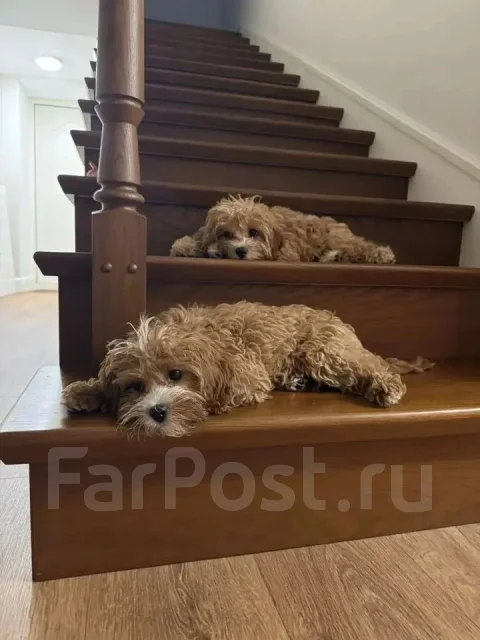 ������. ��� ����� �� ������ ����