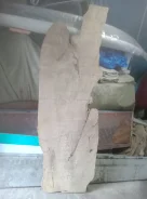 �����. ����� ����