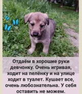 ������ � ������ ���� ����� ����