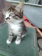 �����. ����
