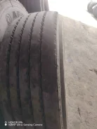 TyRex. �����������, 2025 ���, �/�, ����� 30 % ����