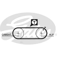 ������ ��� [77���,21mm] AUDI 100 ; VW T IV 2.4 90-03 Gates 5246 5246 ����