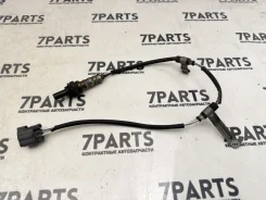 ������-���� Honda Civic 2002 36532PLMA01 EU1 D15B 36532PLMA01 ����