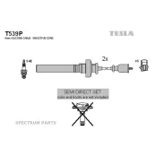 ������� ��������������, � �����. /MD365102/ T539P T539P ����