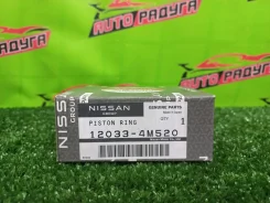 ������ ��������� (��������) QG15-DE G10, N16 12033-4M520 120334M520 ����