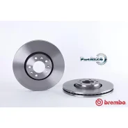 ���� ��������� Citroen C5 08-/Jumpy/Peugeot Expert 07- �������� ����. Brembo 09A43010 09A43010 ����