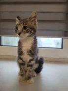 �����. ����