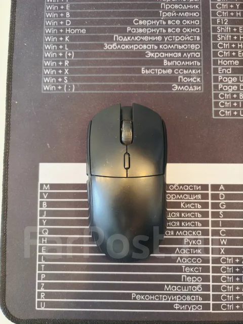 ���� �������. ����