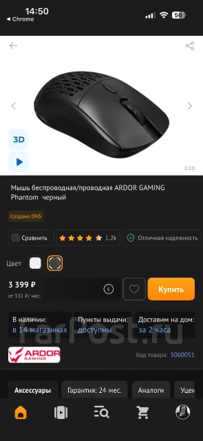 ���� �������. ����