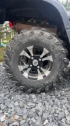 ����. ����