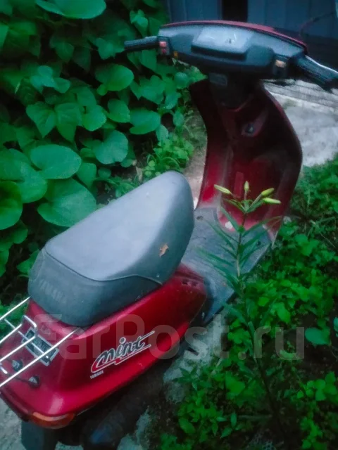 Yamaha Mint. 49����. ��., ��������, ��� ���, ������ �� �� ����