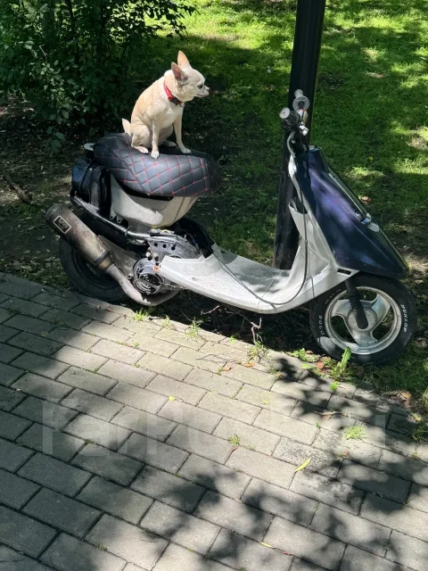 Yamaha Jog Artistic. 72����. ��., ��������, ������ �� �� ����