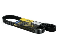 ������ 1370 6PK �����, ������, ������ � ��� ��. 406, 405, 4216, Ev�t��h [GP.10220025] 00001000220025000 ����