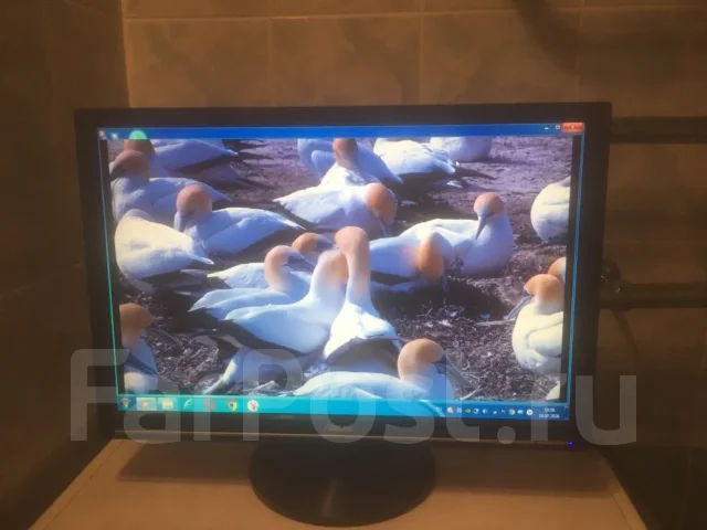 Asus. 21.6", ���������� �� (LCD, LED, QLED) ����