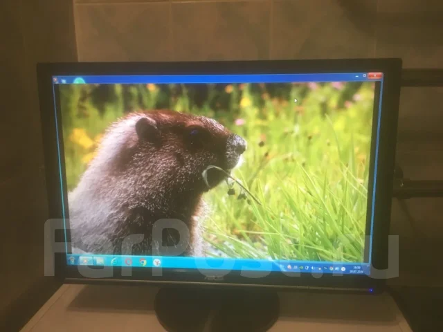 Asus. 21.6", ���������� �� (LCD, LED, QLED) ����