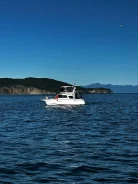 ������ �����. 1992 ���, ����� 12��., ��������� ������������, 200��.�., ������ ����