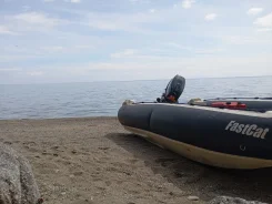 Badger Fast Cat. 2012 ���, ����� 4,1��., ��������� ��� ���������, 50��.�. ����