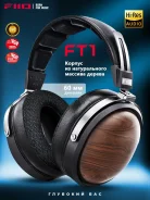 FiiO ����