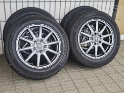 RAYS Volk Racing TE37 Large P.C.D. Progressive Model II