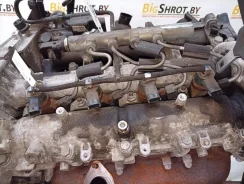 �������� Fiat Bravo 0445110300 0445110300 ����