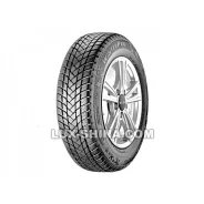 GT Radial WinterPro2