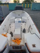 ������ �����. 2018 ���, ����� 4,5��., ��������� ��� ���������, 15��.�., ������ ����