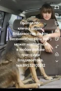 ������. ����