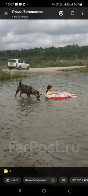 ������. ����