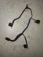 ������� ��������� ���������. ����