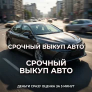 ������� ����� ����: ������ � ���� ��������� ����
