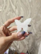 ������. �� ���������� ����� ����